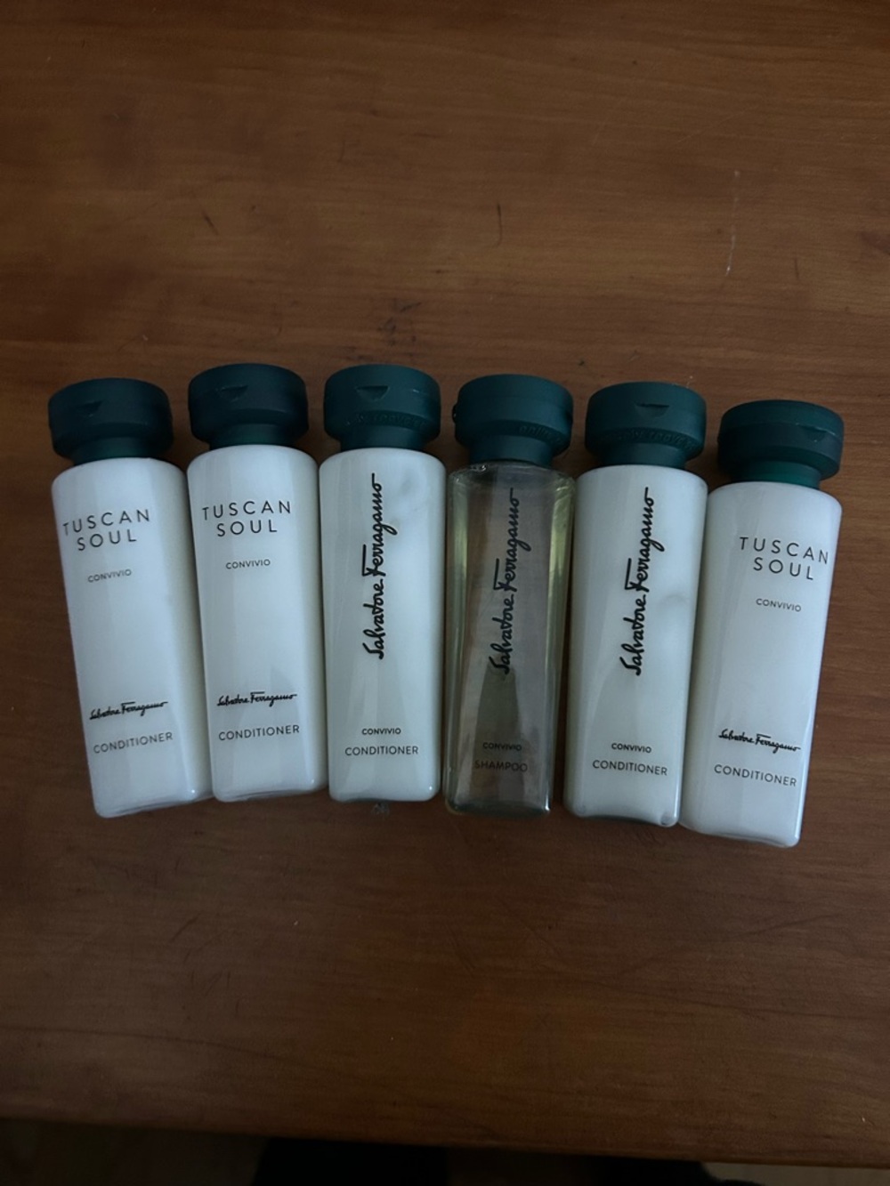 Salvatore Ferragamo Tuscan Soul and Convivio Conditioners  and Shampoo